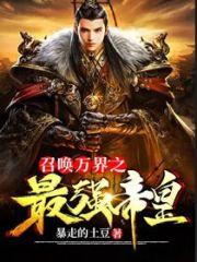 召唤万界之最强帝皇赵风