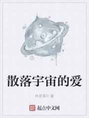 散落宇宙的爱